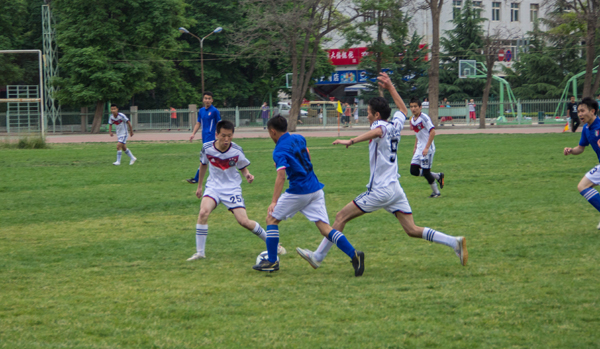 的镇定和技 的镇定和技