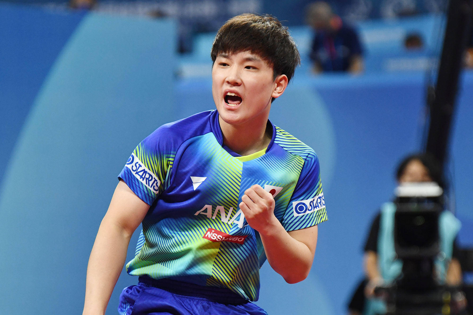 队单个项目 队单个项目